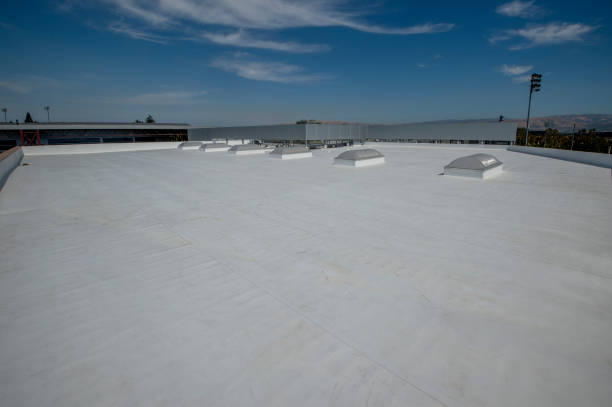Best Solar Panel Roofing Installation  in Highland Park, MI