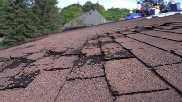 Fast & Reliable Emergency Roof Repairs in Highland Park, MI